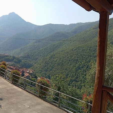 Agriturismo U' Spigu Nonna Annetta Nasino Екстер'єр фото