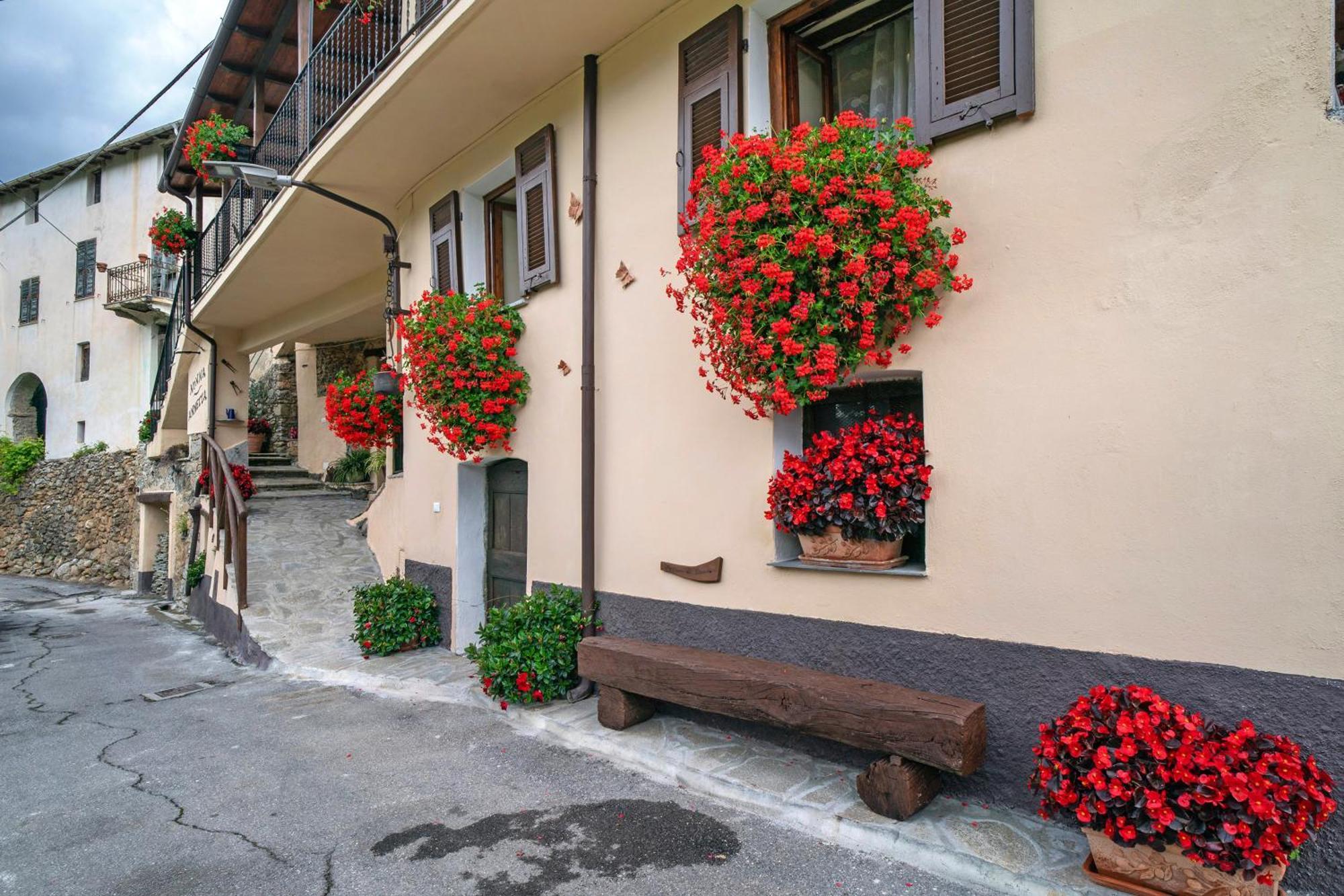 Agriturismo U' Spigu Nonna Annetta Nasino Екстер'єр фото