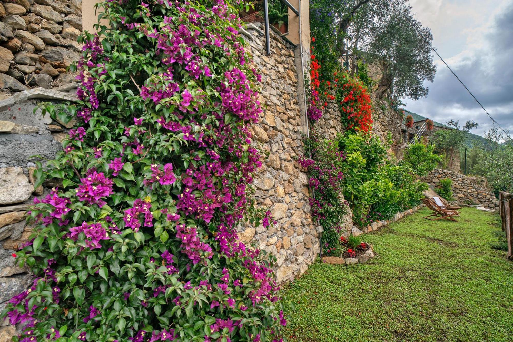 Agriturismo U' Spigu Nonna Annetta Nasino Екстер'єр фото